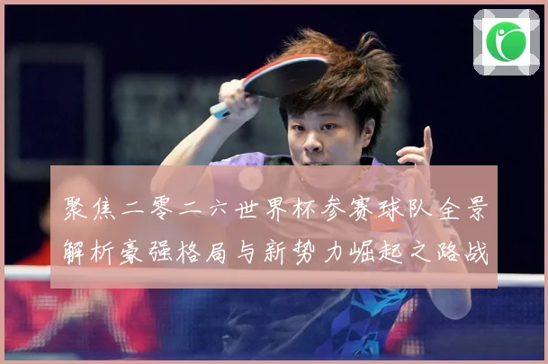 聚焦二零二六世界杯参赛球队全景解析豪强格局与新势力崛起之路战术观察-深度解析