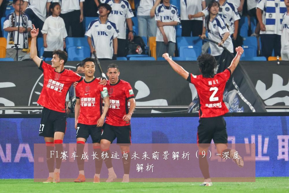 F1赛车成长轨迹与未来前景解析(9)-深度解析